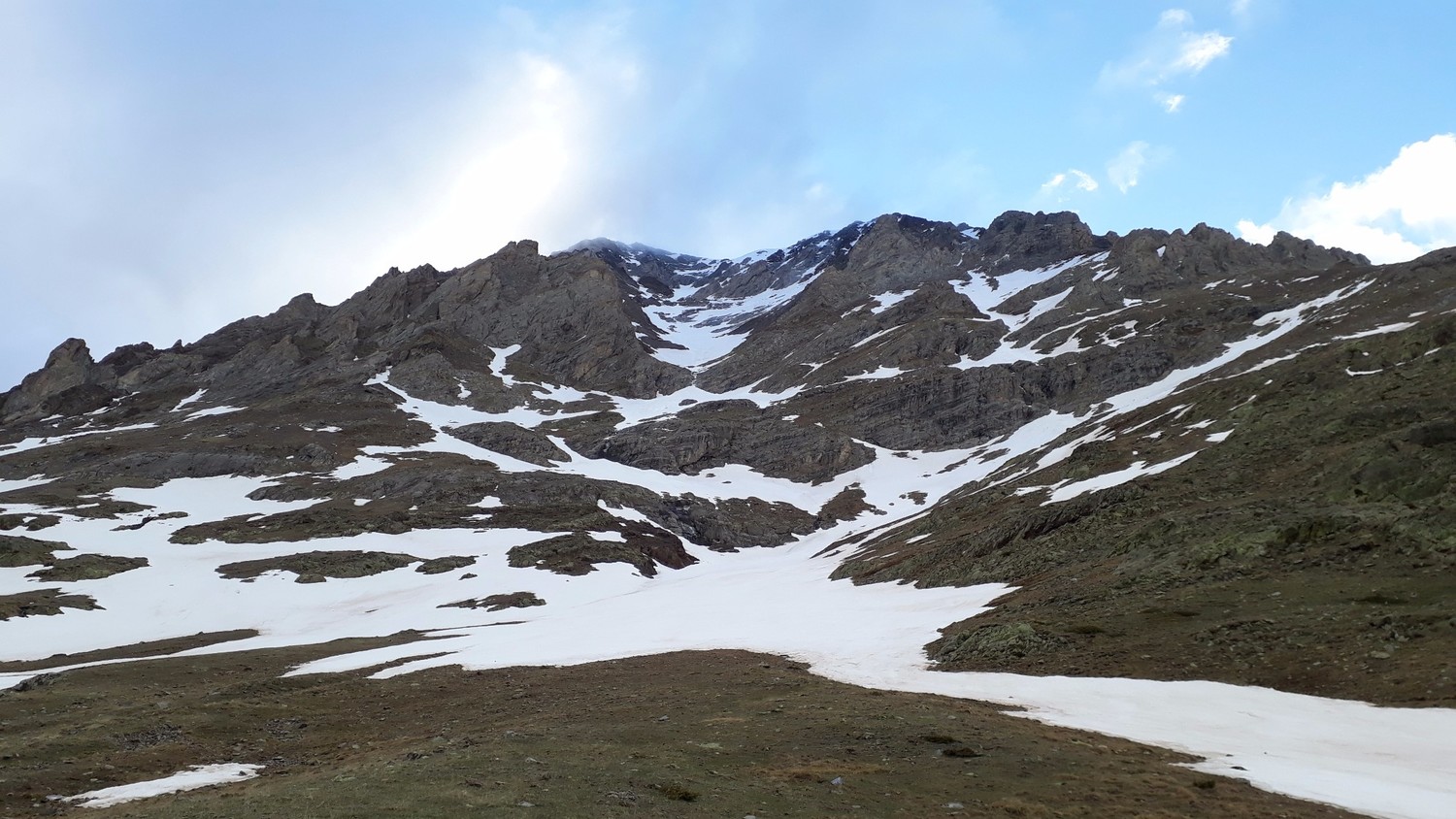 Cerbillona