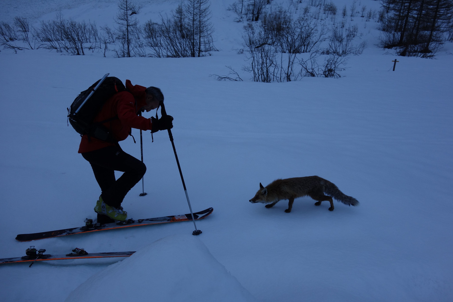 "Alors c'est avec ça que tu vas dans la montagne?..."