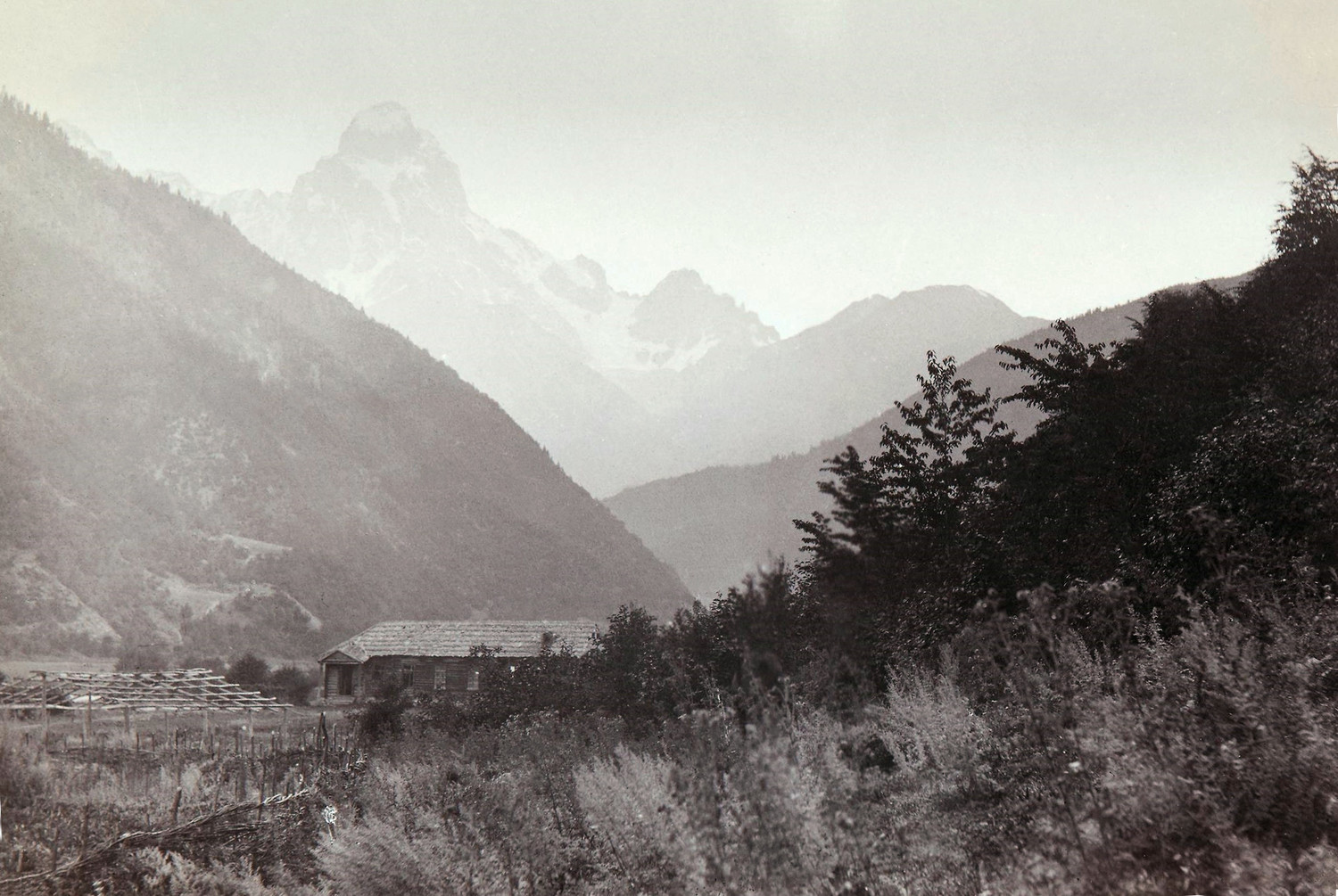 Ushba par Vittorio Sella en 1880