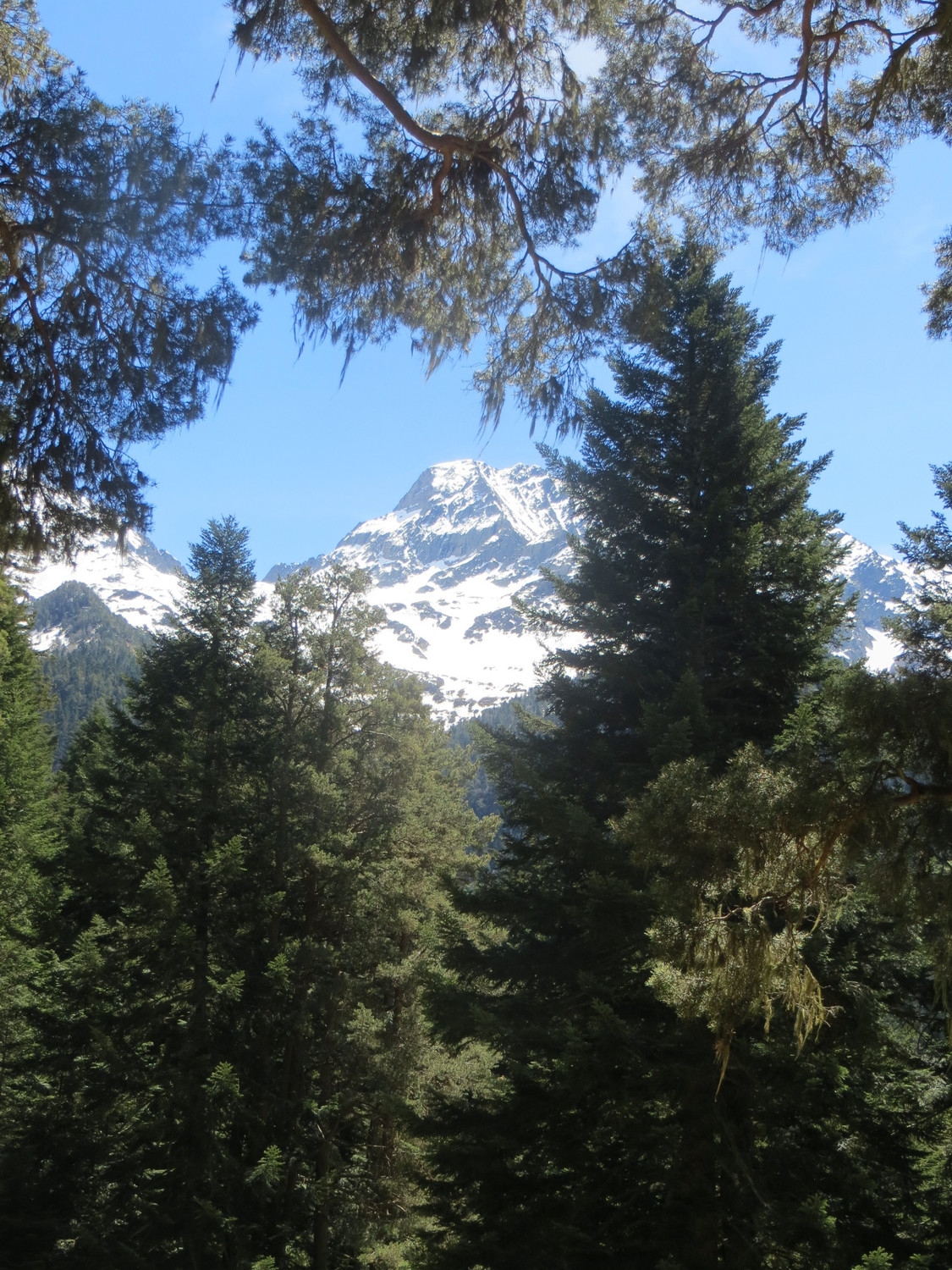 Paysage