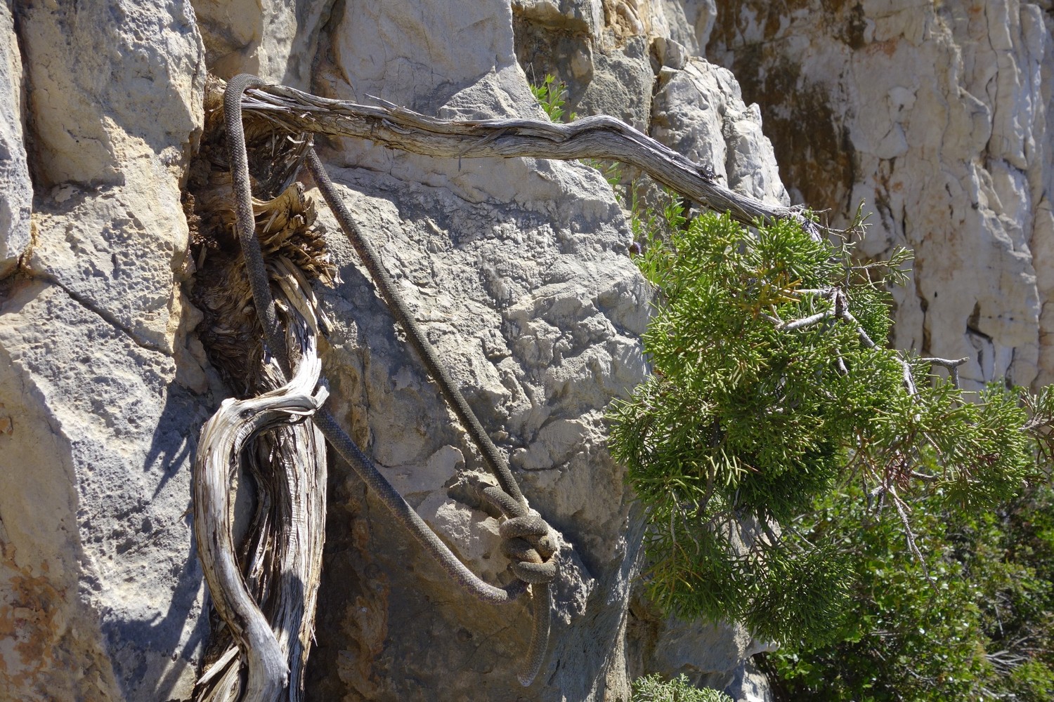 le reequipement des calanques est OK