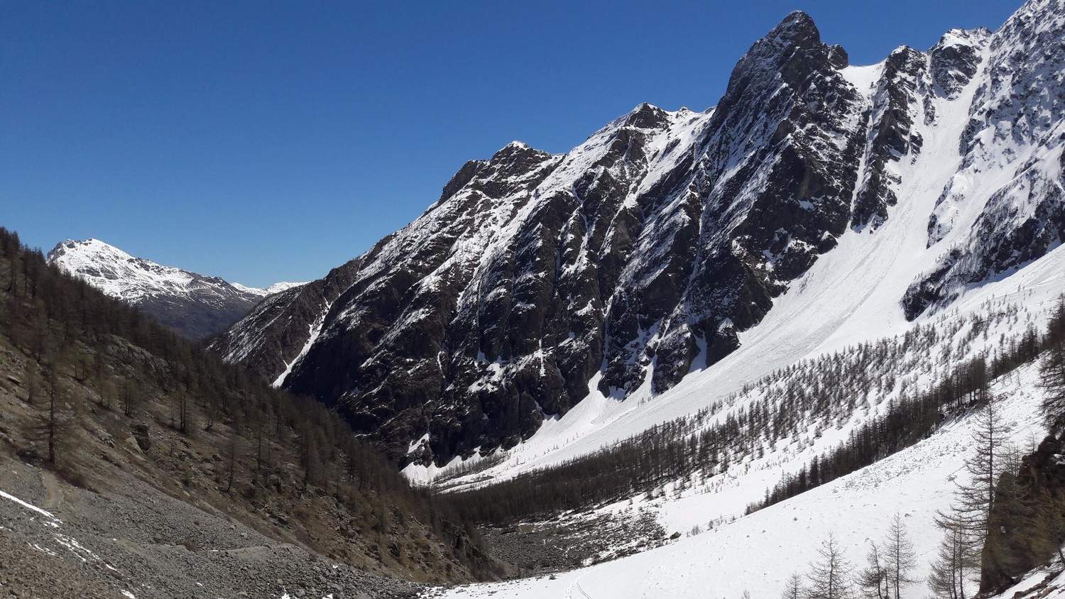 Retour vers la verdure (mais le blanc résiste) !