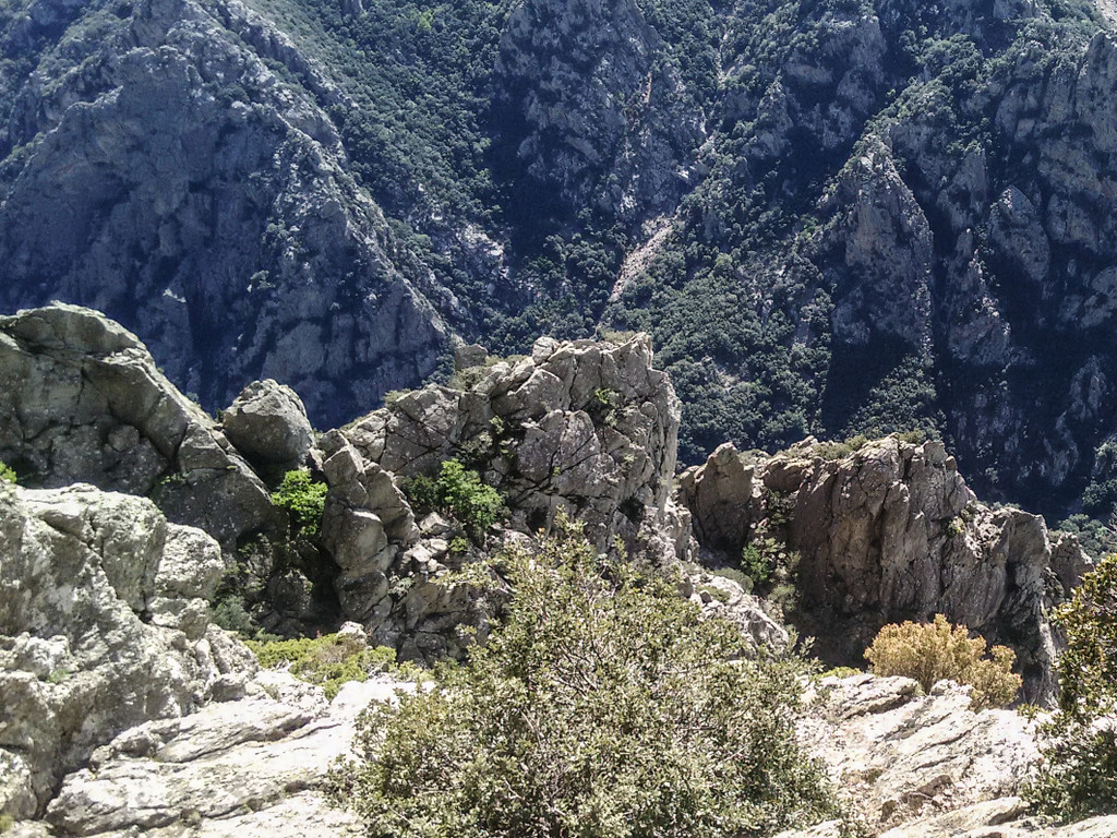 L'arête des Charbonniers vu de la Deplasse