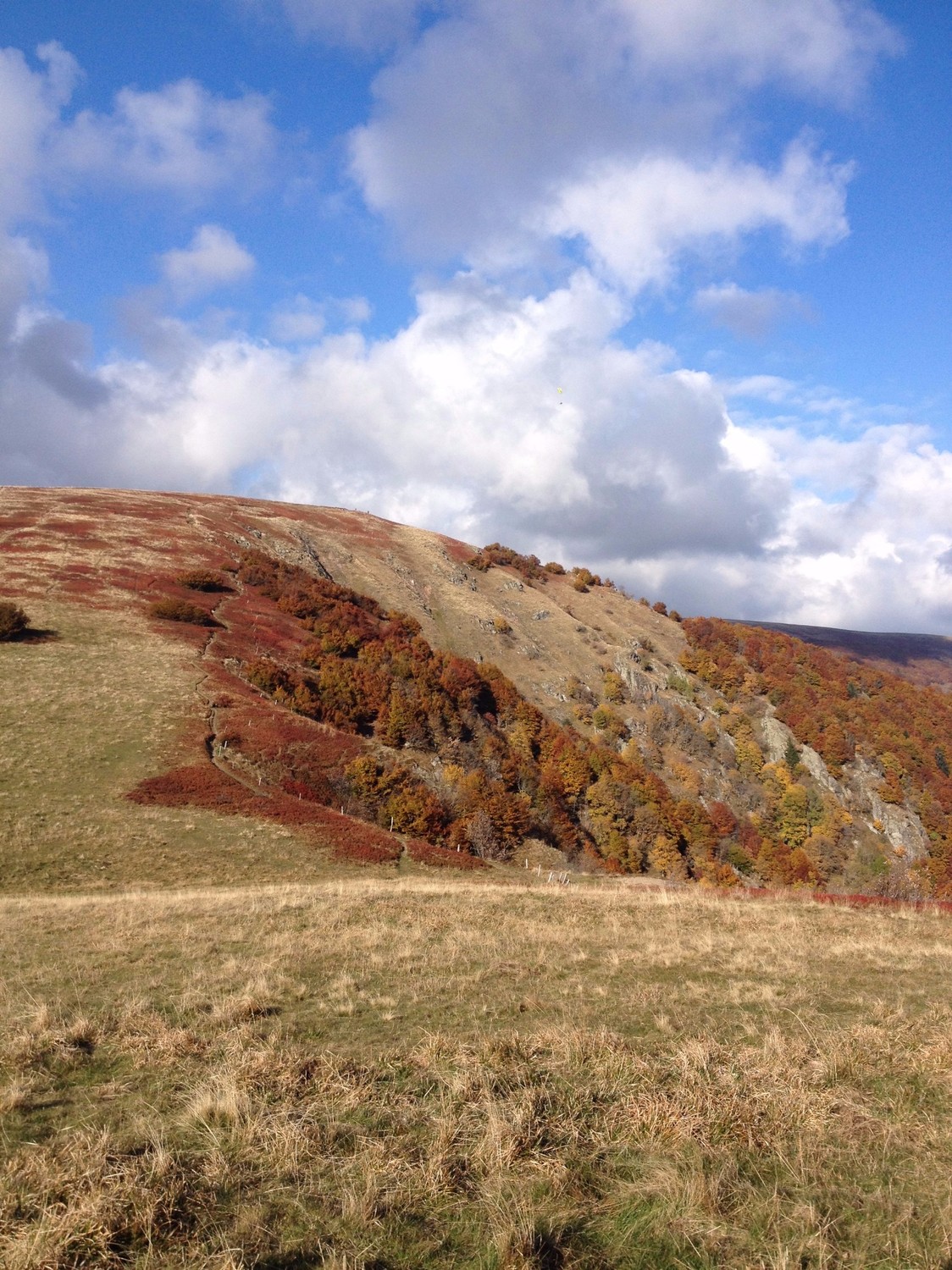 Automne au Rainkopf
