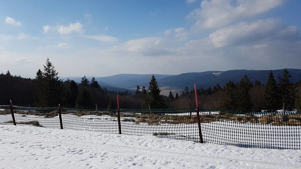 Vue au Gazon du Faing depuis la piste de fond