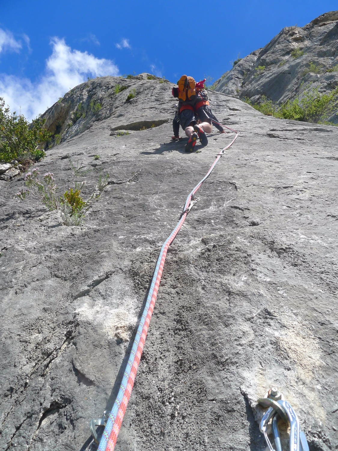 L2 superbe 6b en dalle (chien gueudin)
