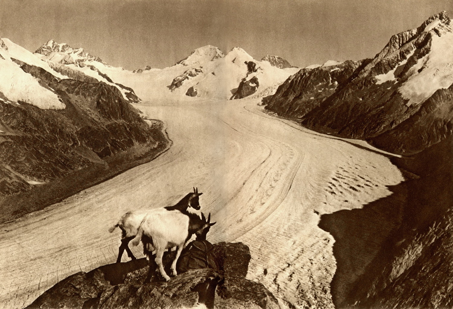 Glacier d'Aletsch, Jungfrau, Mönch, Eiger par Gyger