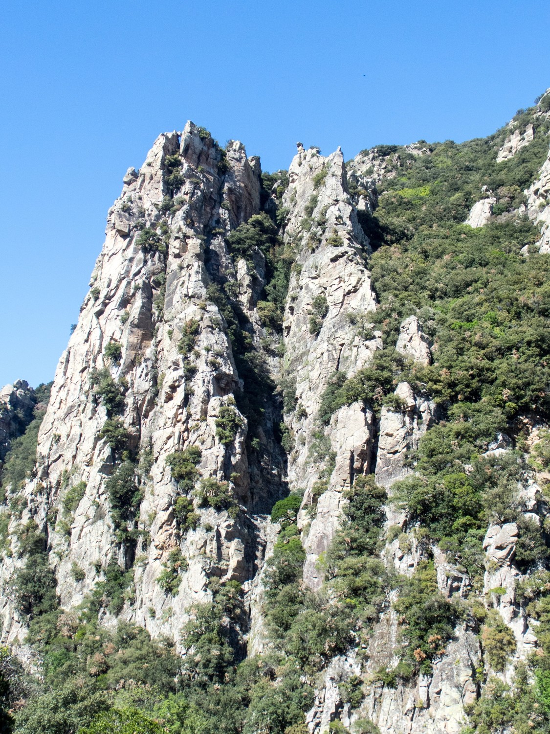 Le pilier Bosc