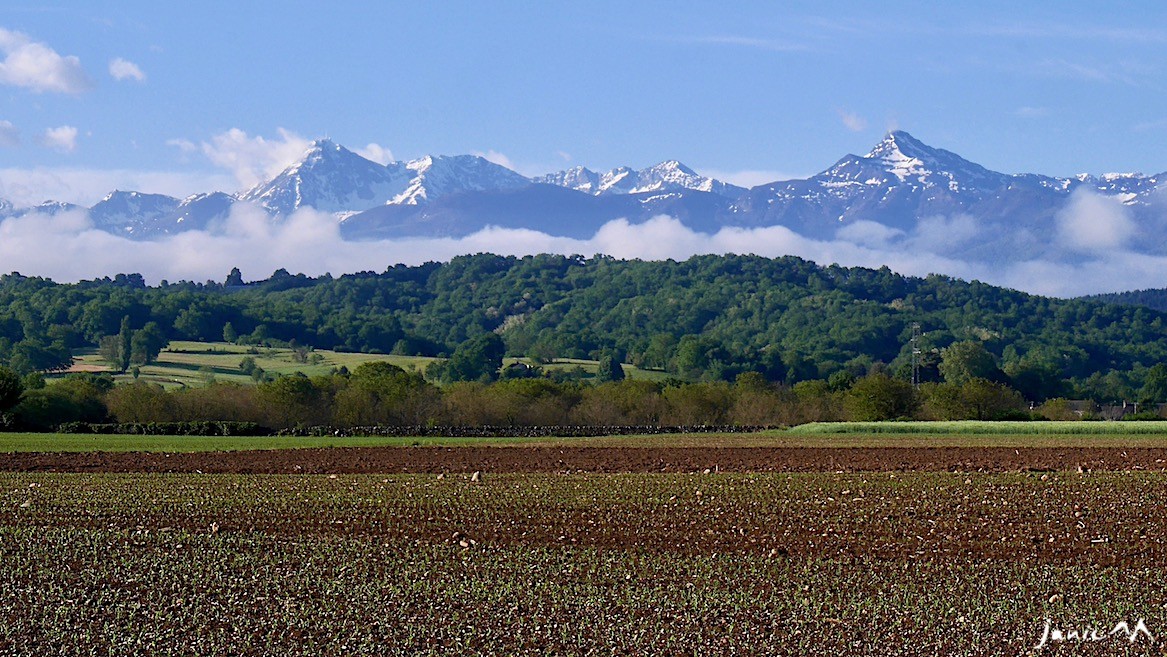 Le vert gagne du terrain
