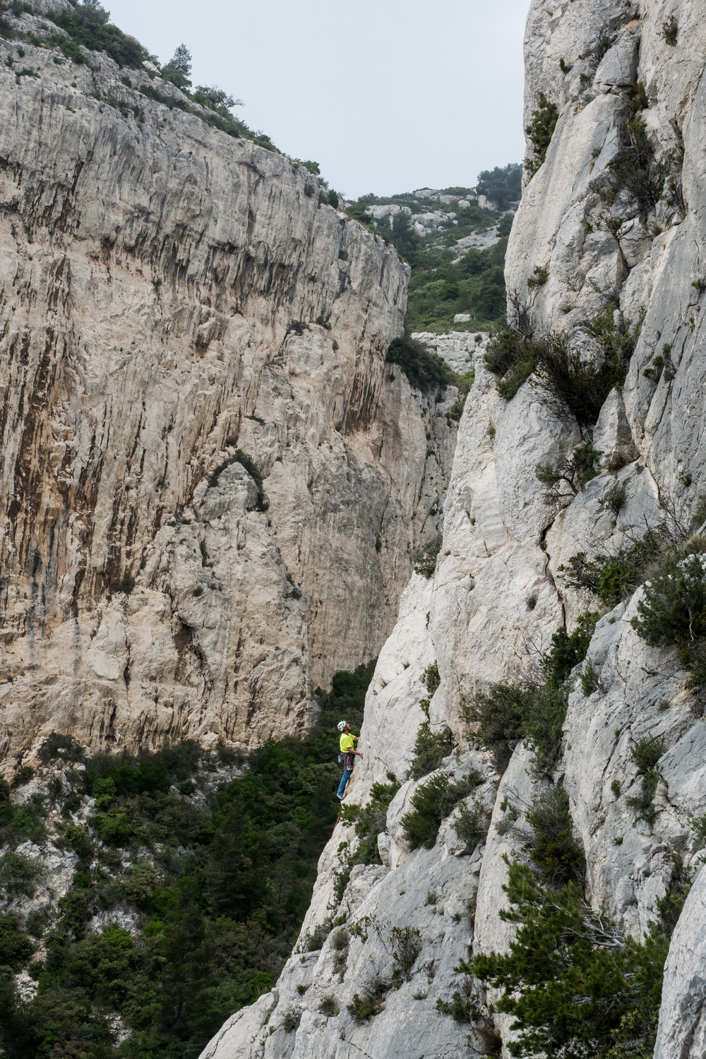 Vincent dans le Cap