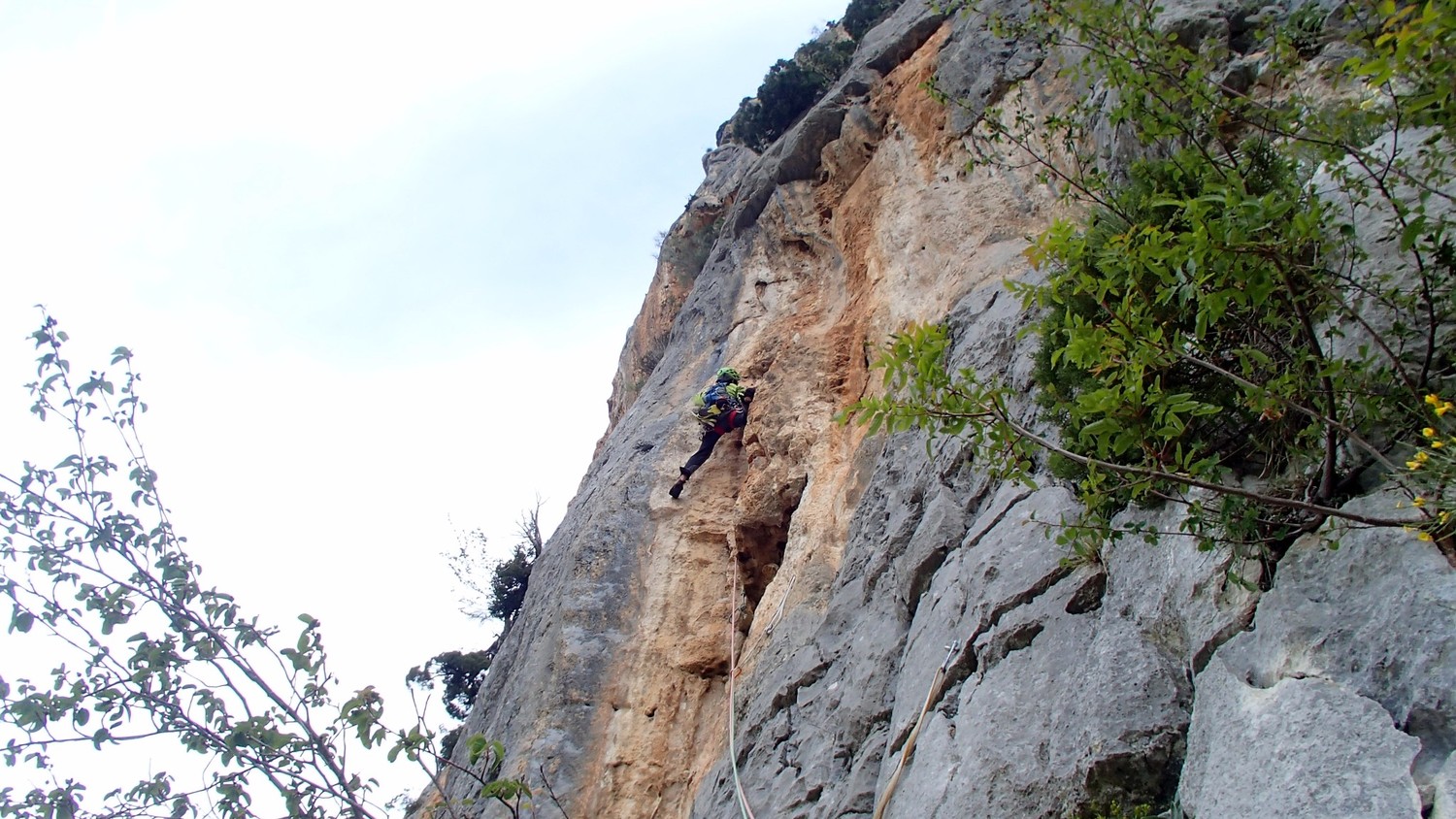 Dièdre L4