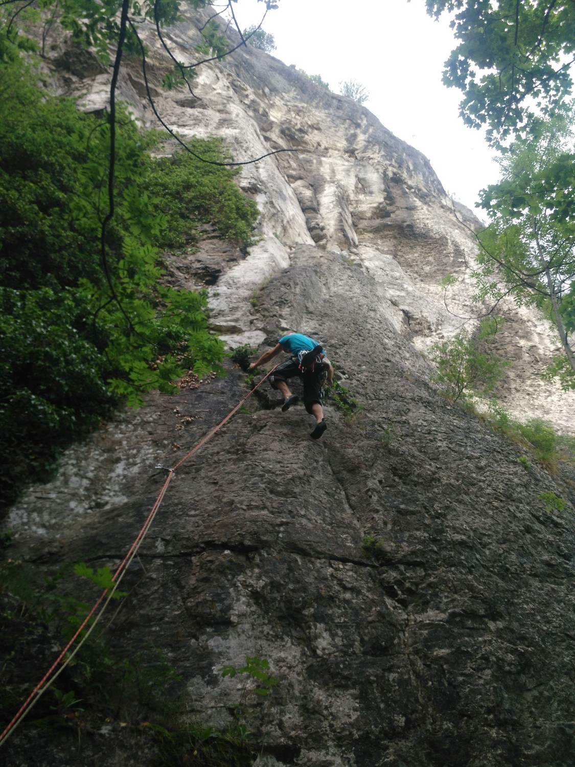 L1, Adri à l'attaque