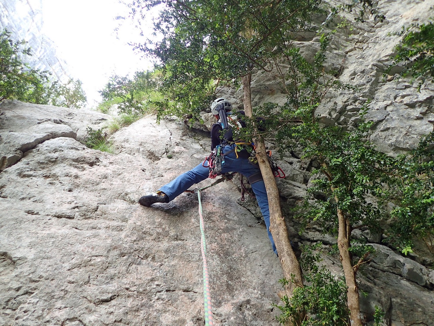 Dans L1