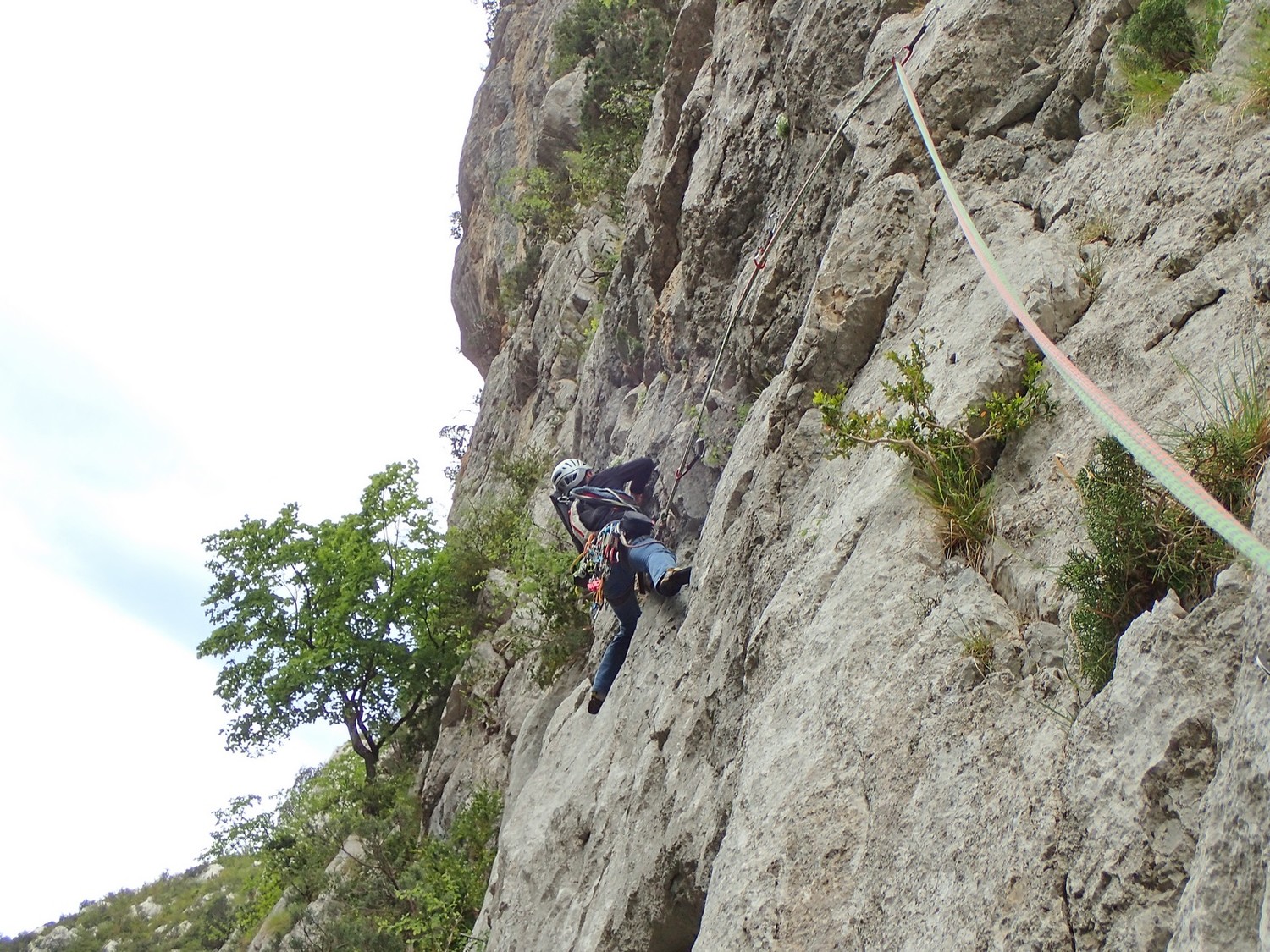 Dans L3