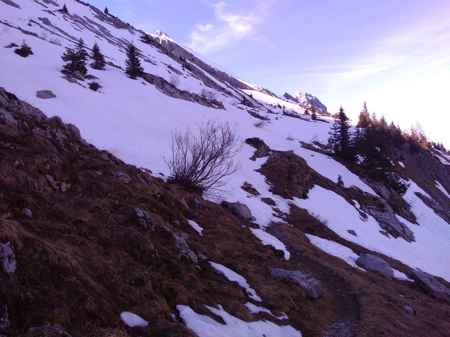 Enfin la neige