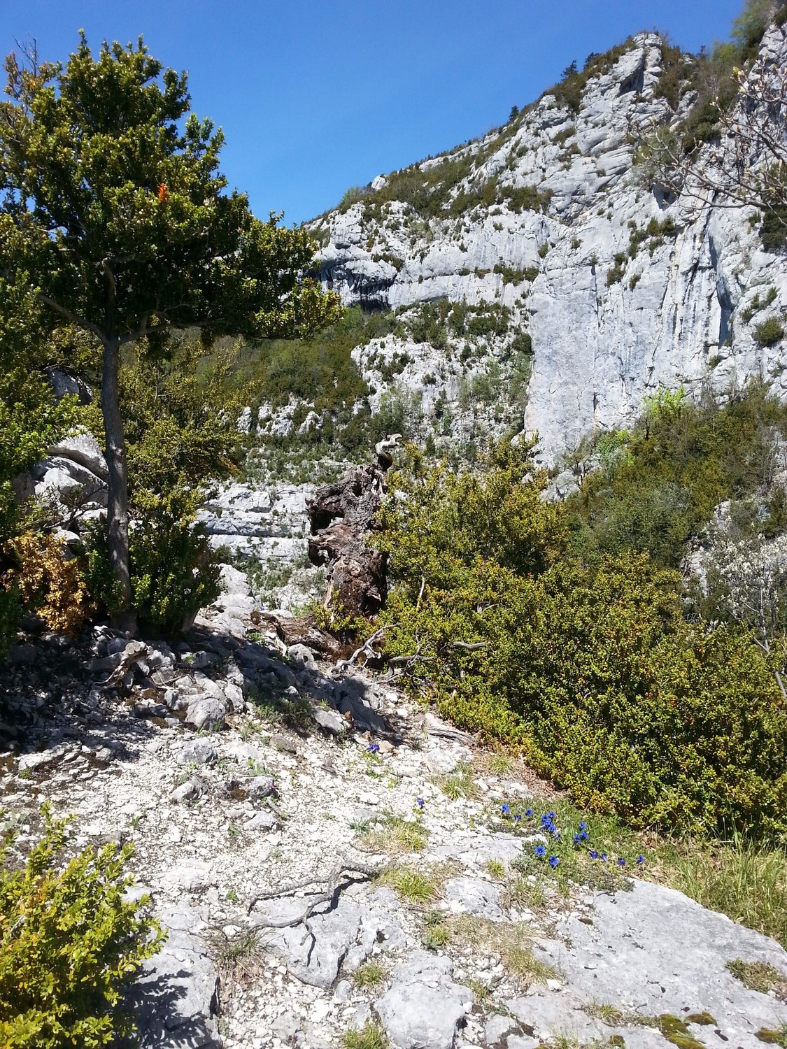 Le sommet