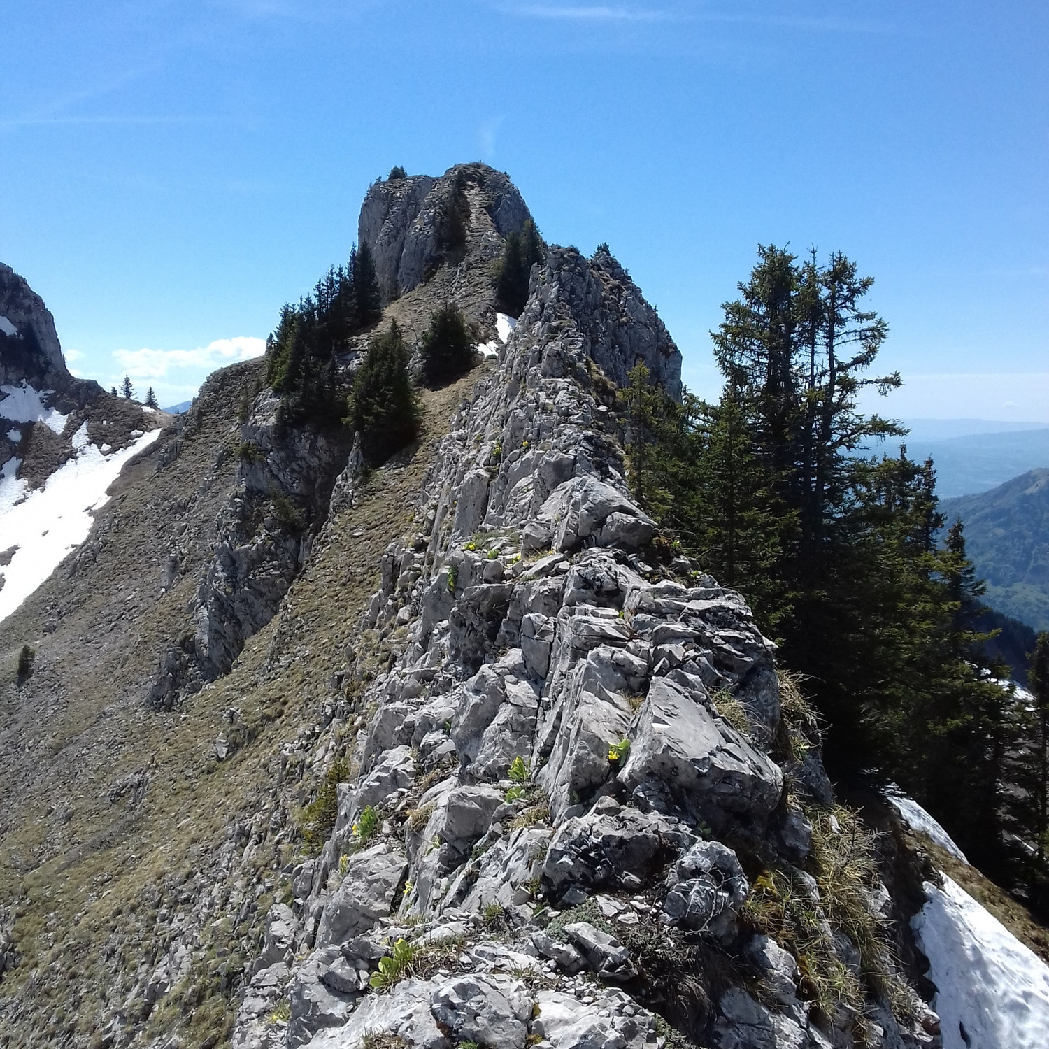 La partie centrale de l'arête