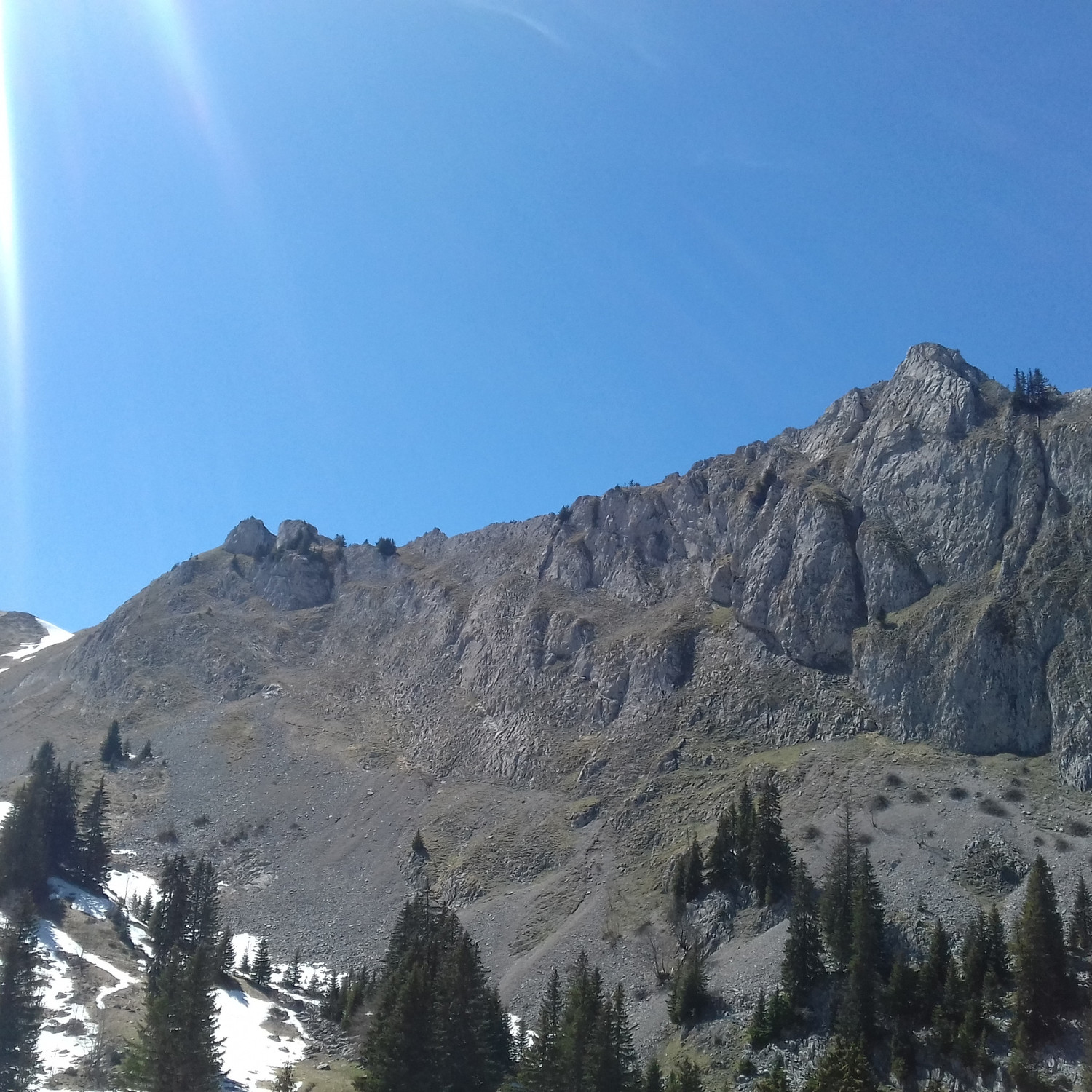 L'arête en intégralité