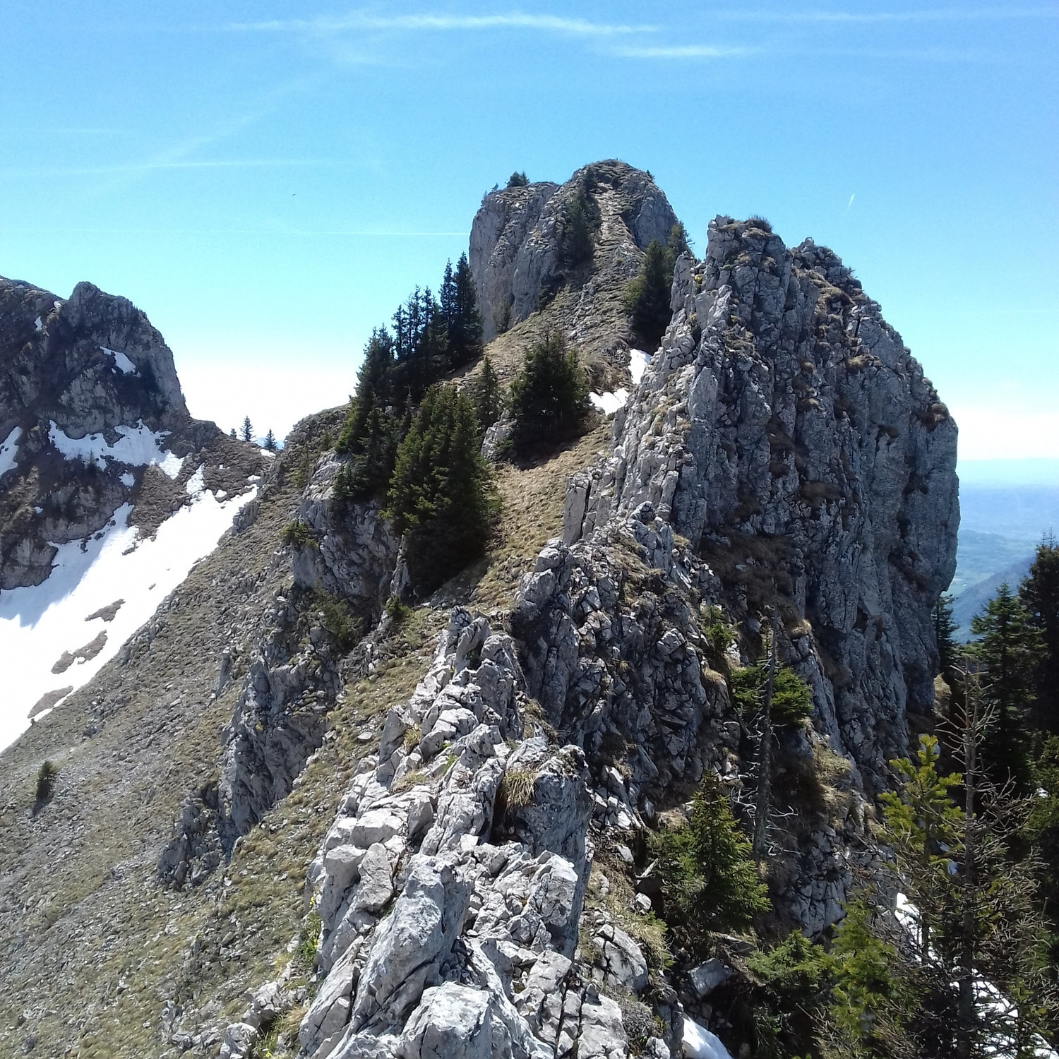 Partie centrale de l'arête