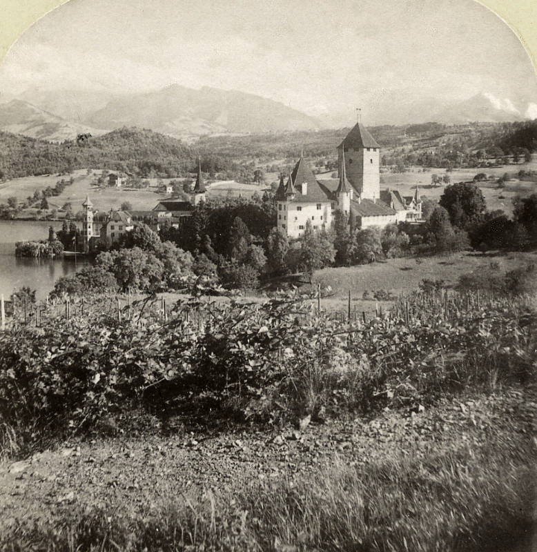 Spiez et le Lac de Thoune par Gabler
