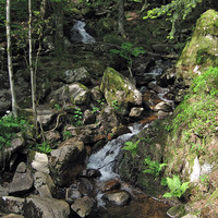 La Savoureuse, Lepuix, crédit photo: J.F. Azens