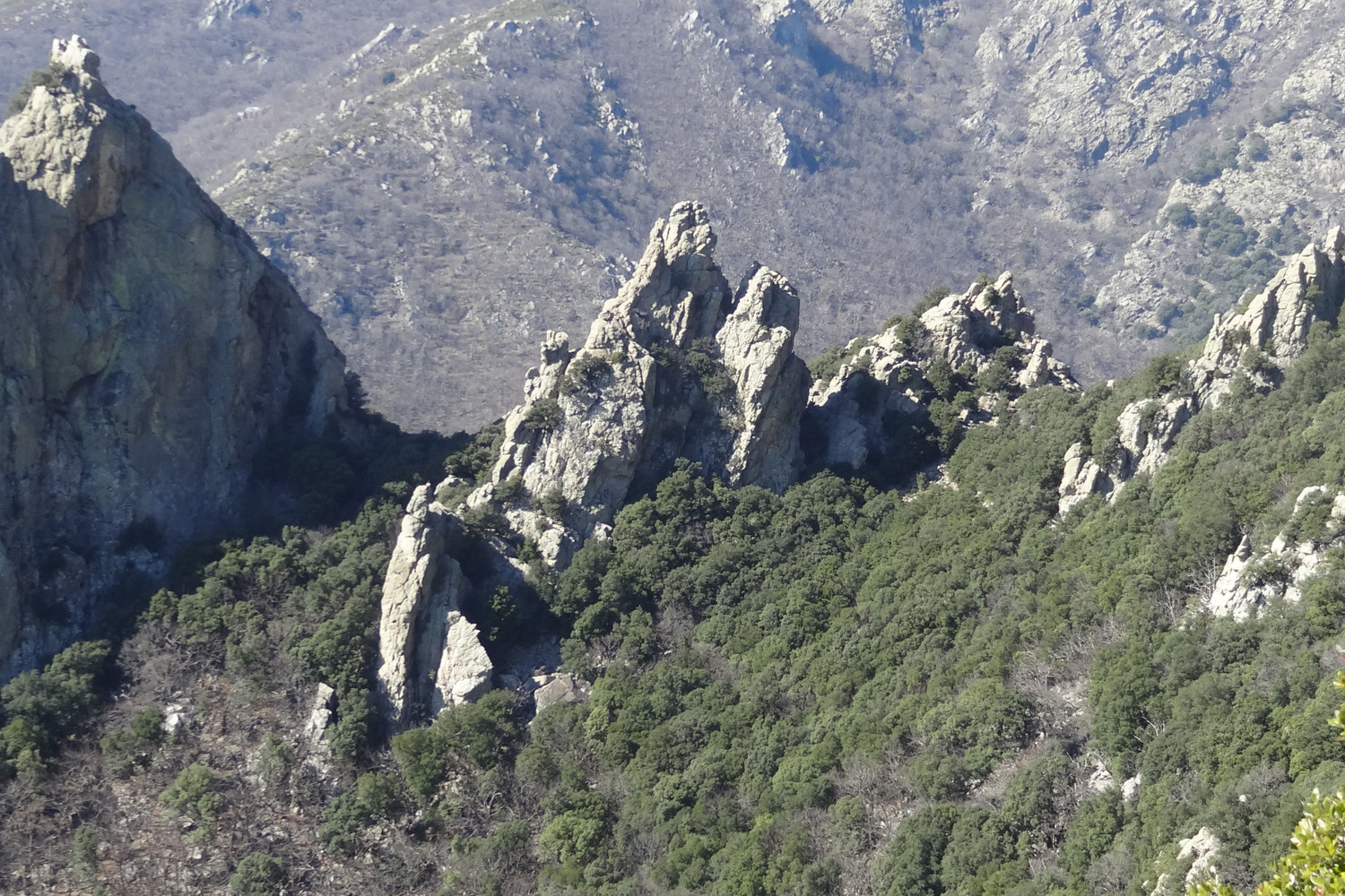Caroux - Aiguille Narquoise : Arête S et versant E