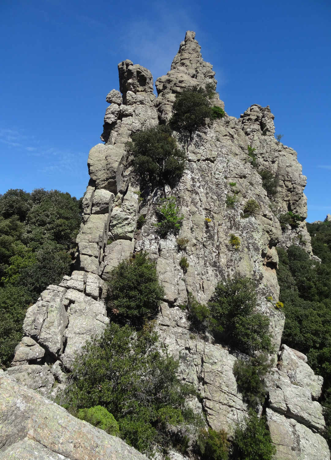 Caroux - Aiguille Narquoise : Arête S