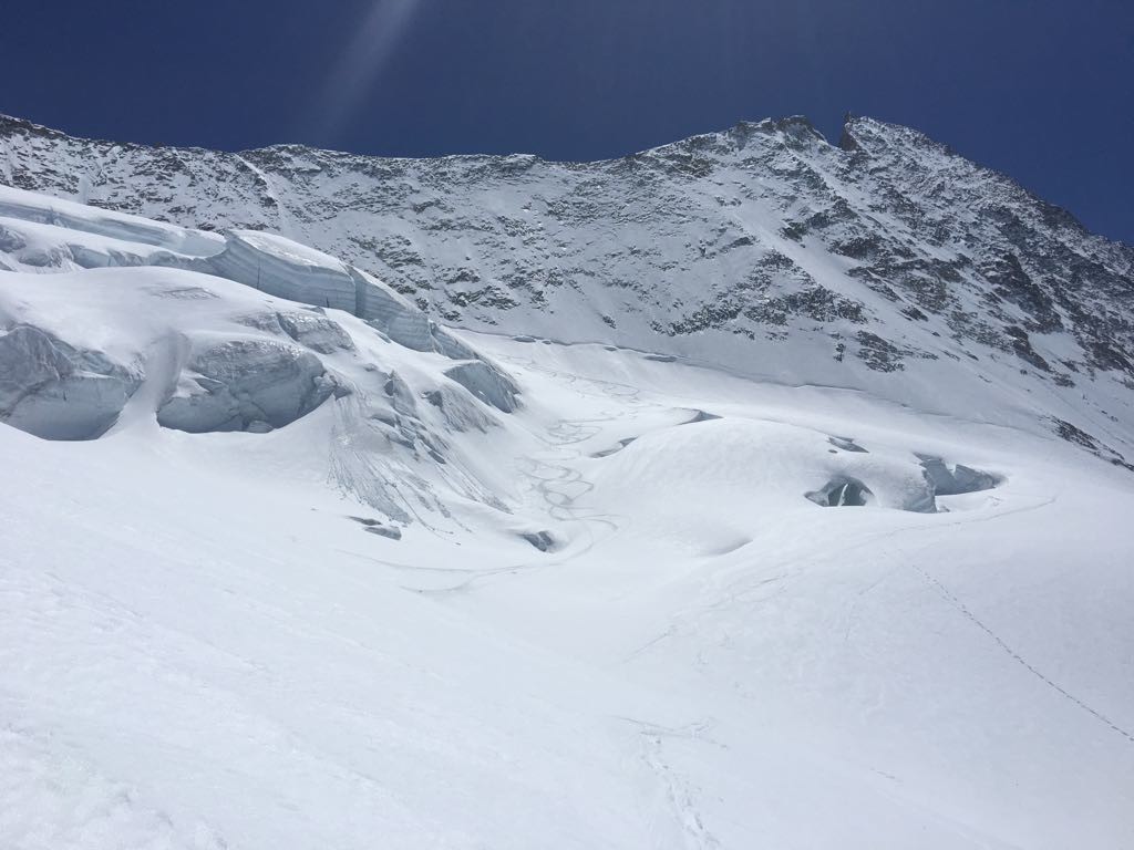 Nos traces