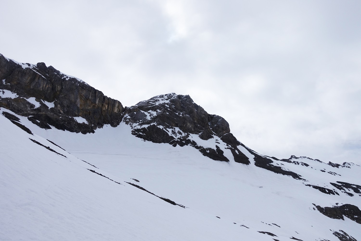 vue du sommet du Wildhorn