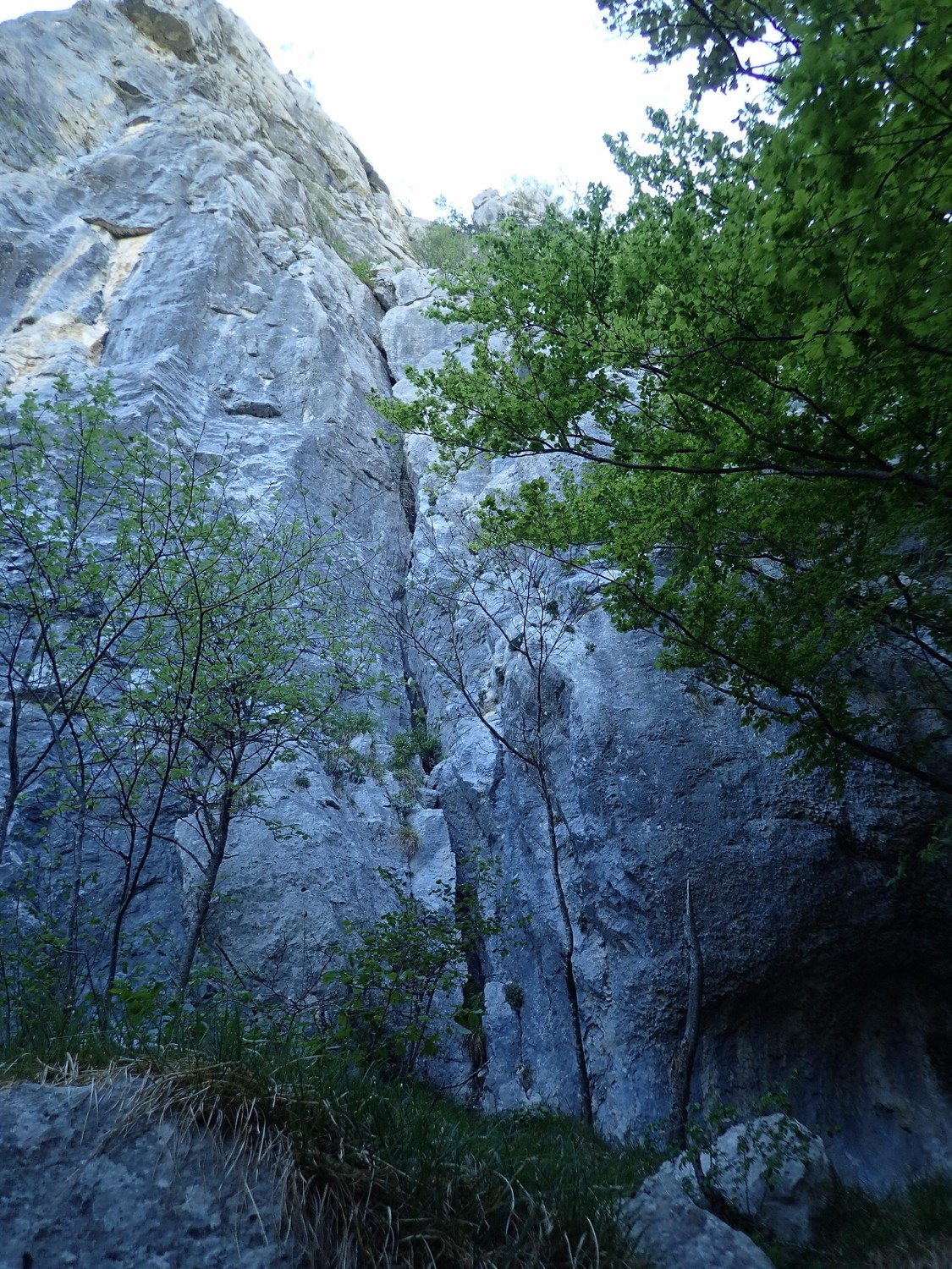 Tout St Jacques: Tour nord; la voie