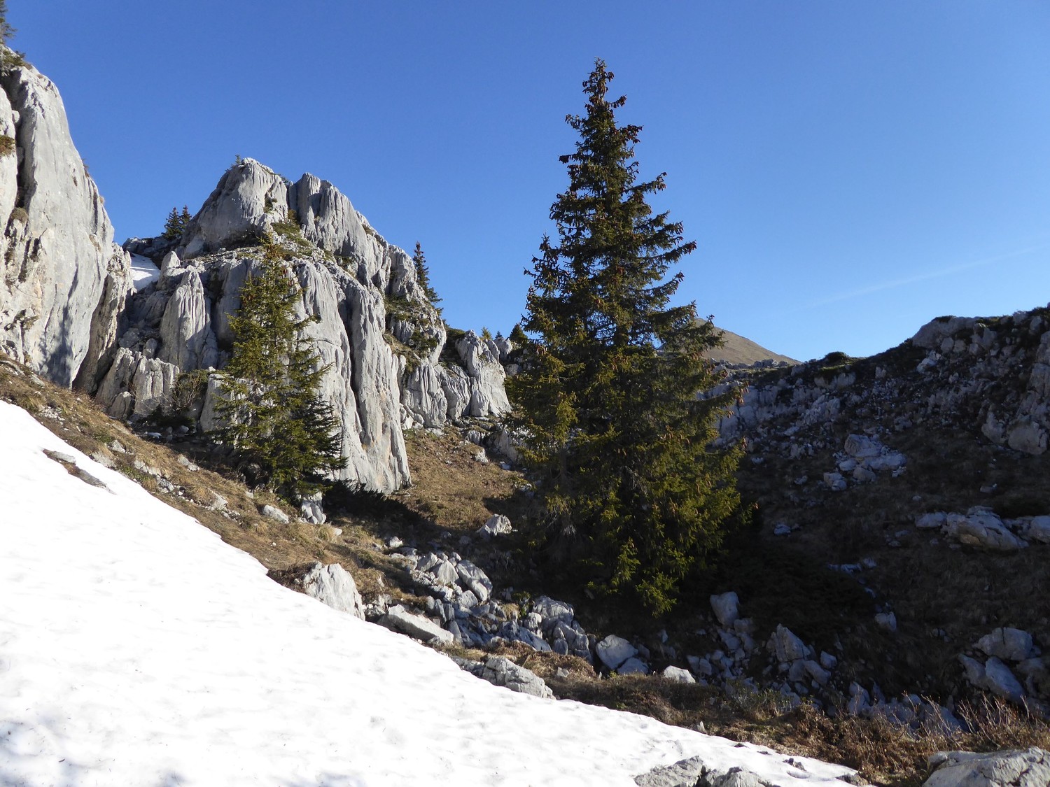 haut du couloir, névé - Roc des Tours