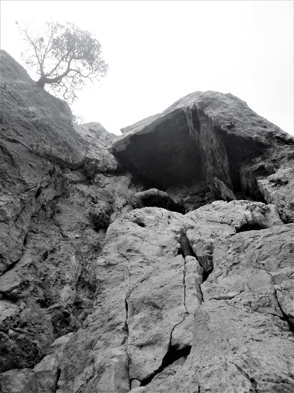 dans L2, sous le grand toit