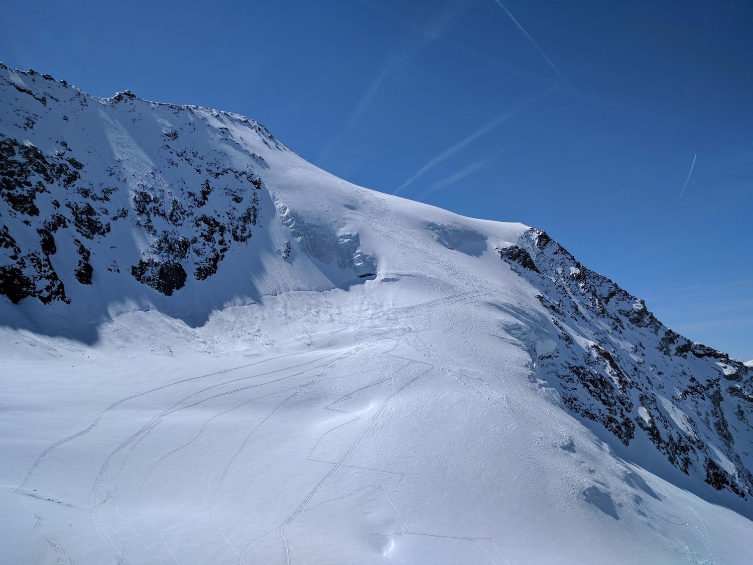 Majestueux