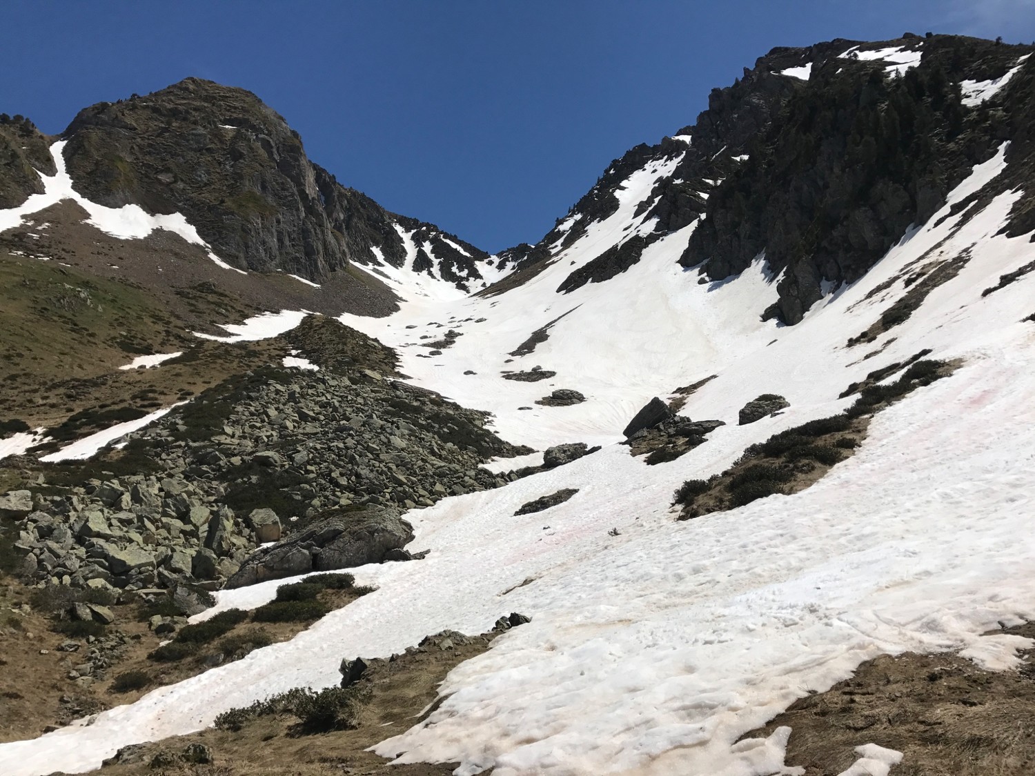 Bat de caoubere