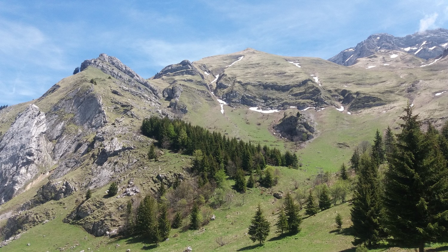 Bonnet de Cherel