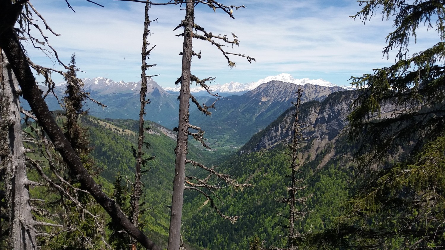 Mont-Blanc bien enneigé