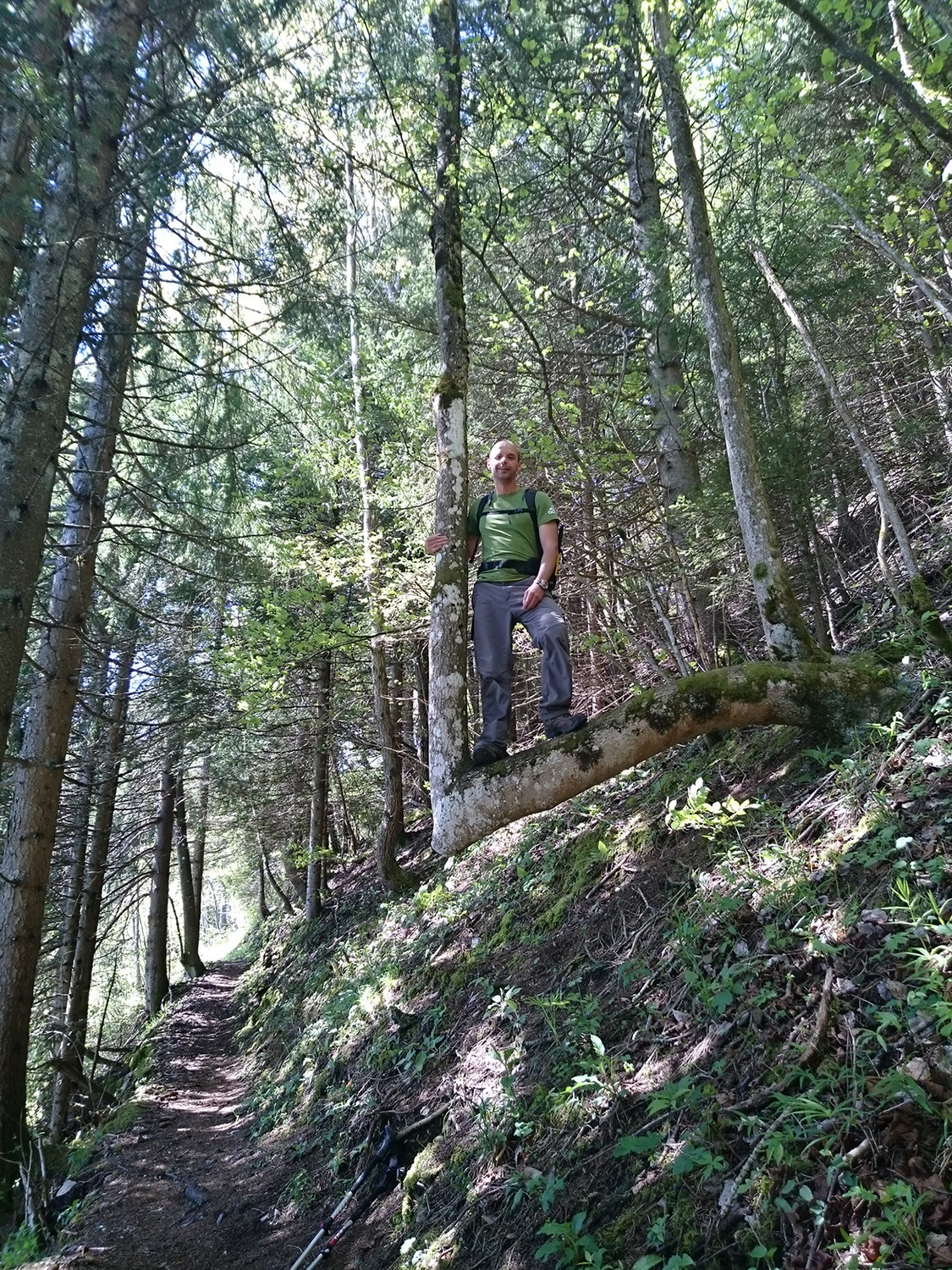 Arbre coudé!