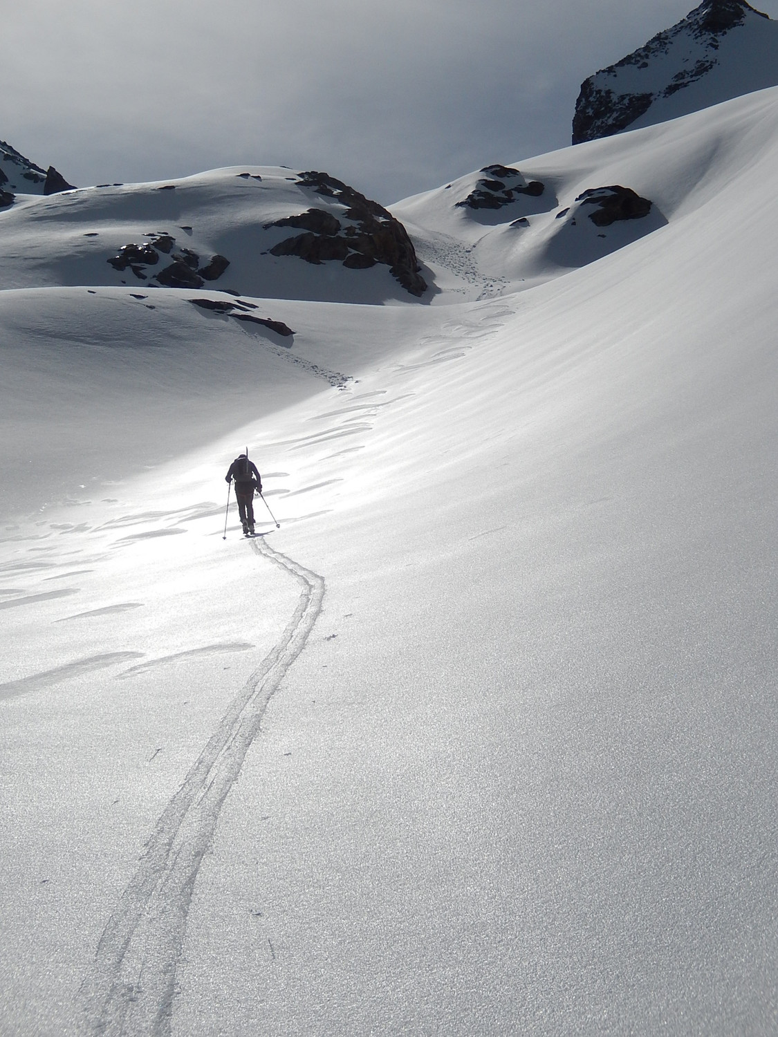 Firn in controluce