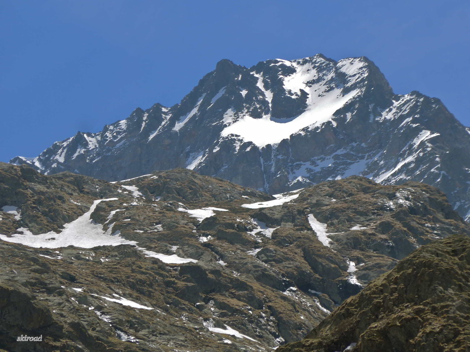 Majestueuse face N du Gélas.