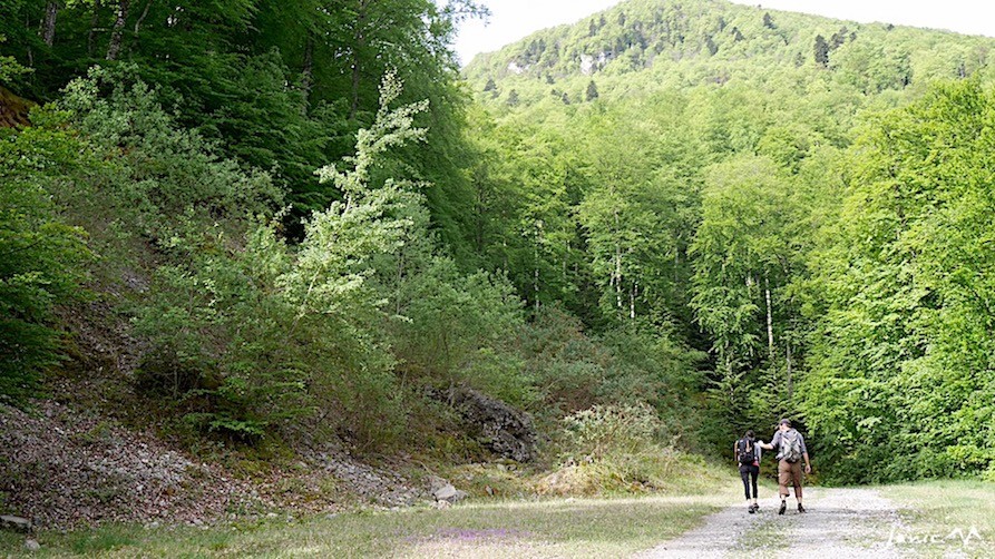 La piste déroule ses lacets