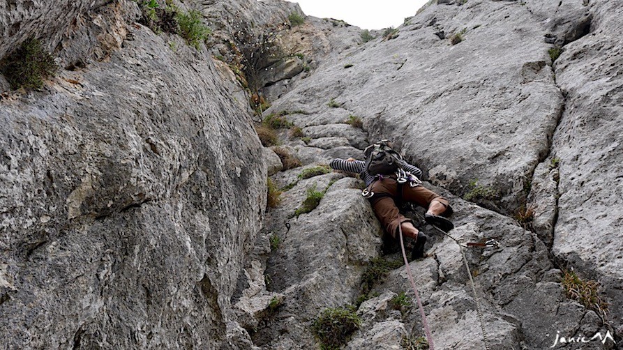 L2 longueur moins herbeuse