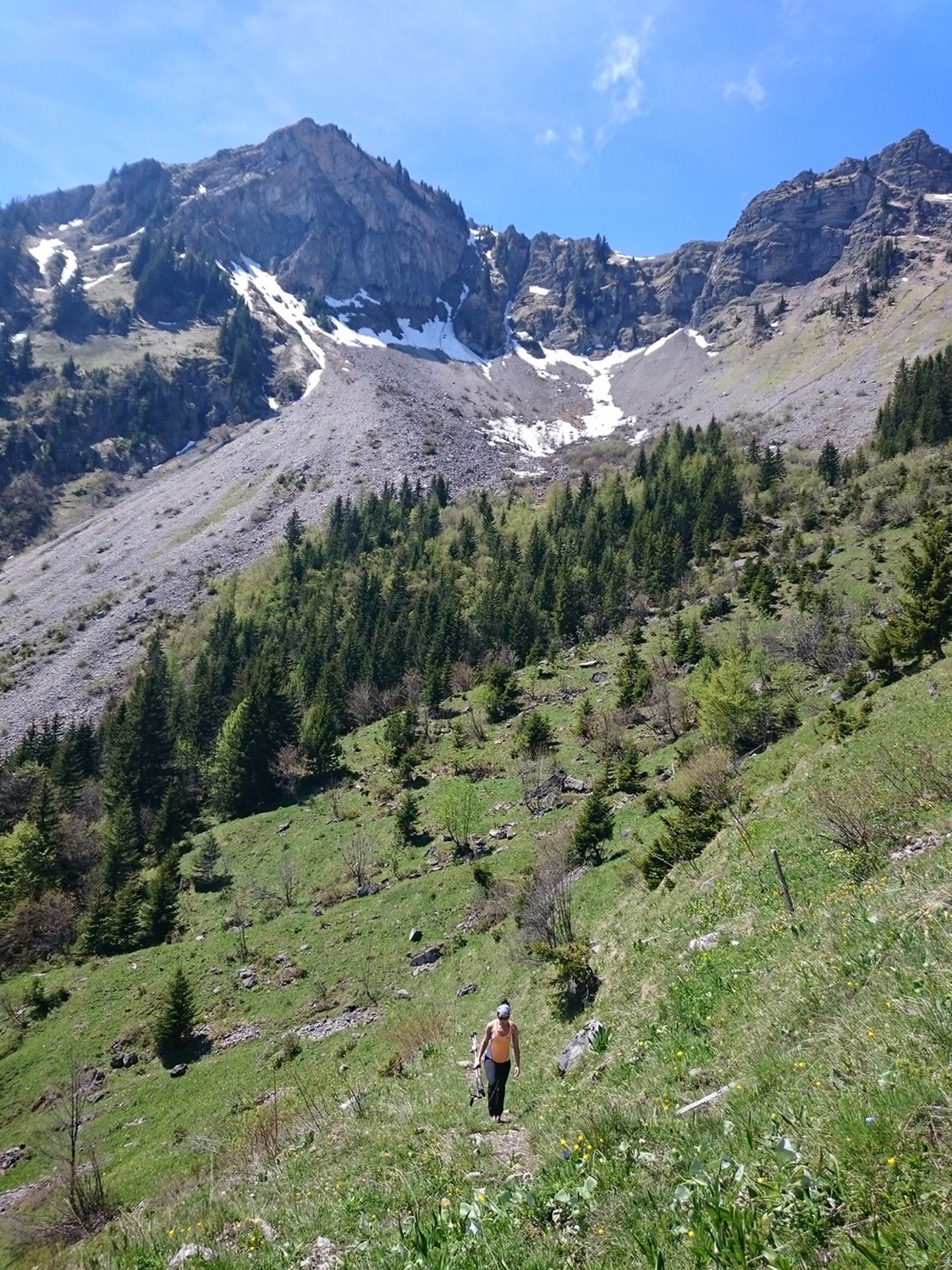 Les derniers névés au pied du Grammont... la crête est plus fournie