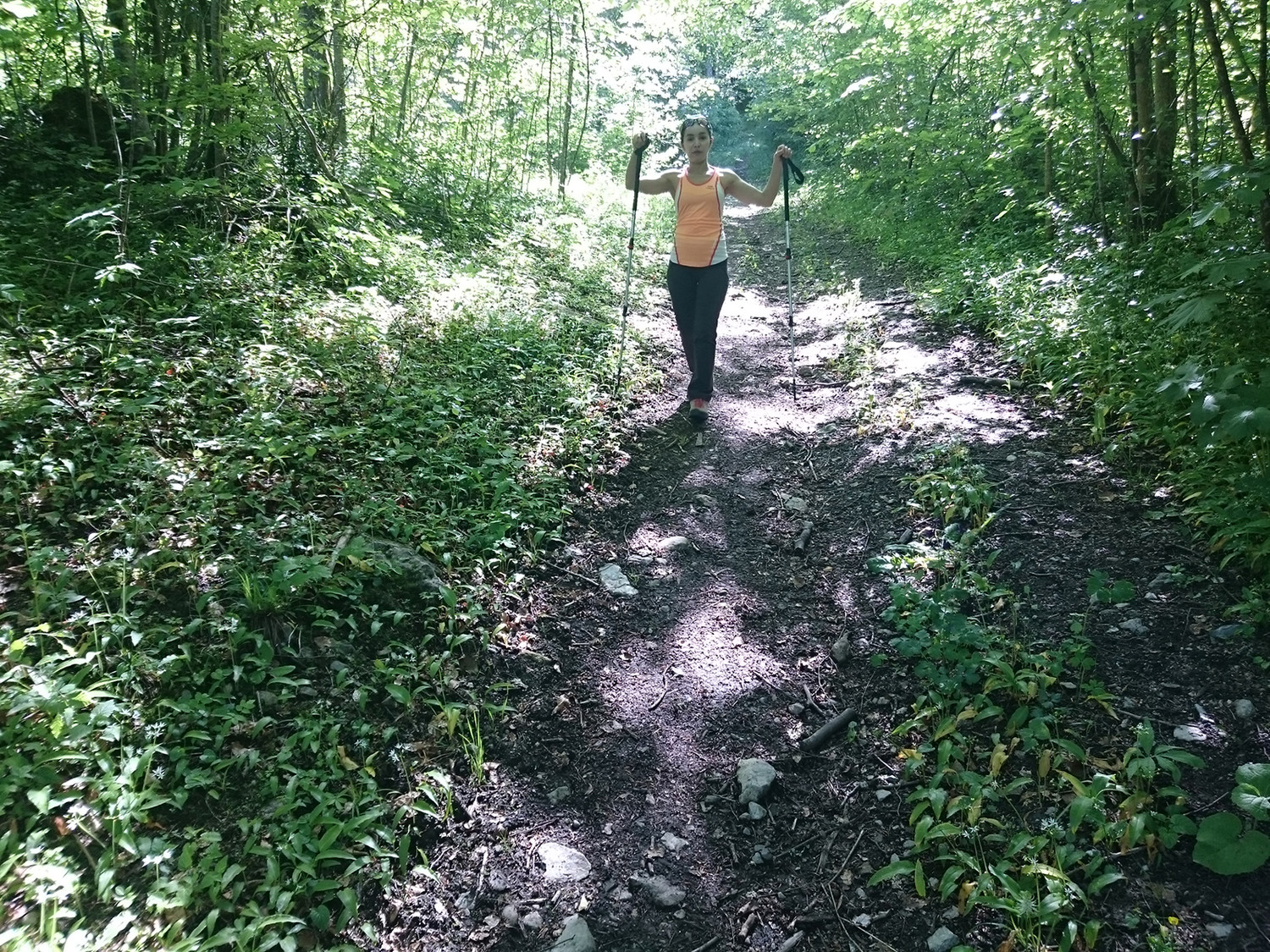 Dans la forêt enchantée :)