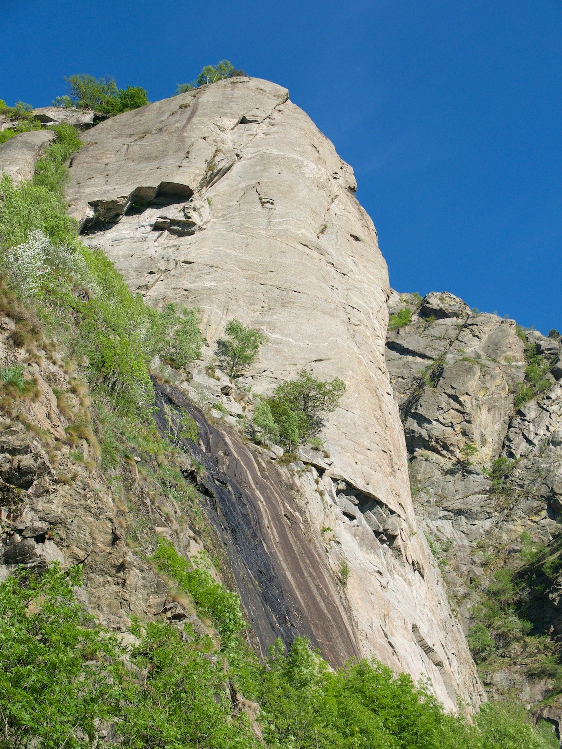 Le Pilier Lomasti