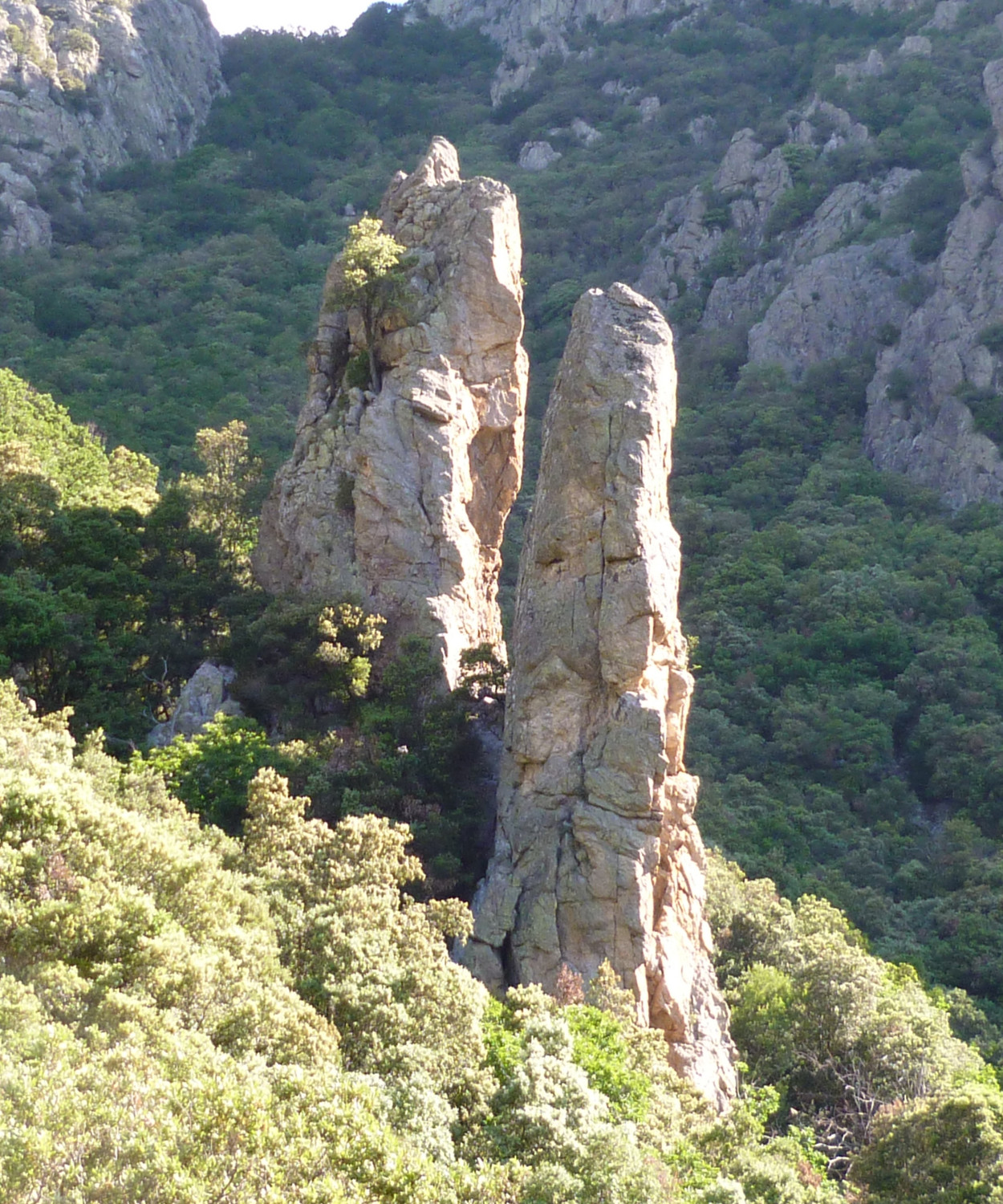 Caroux - Roc des Hirondelles