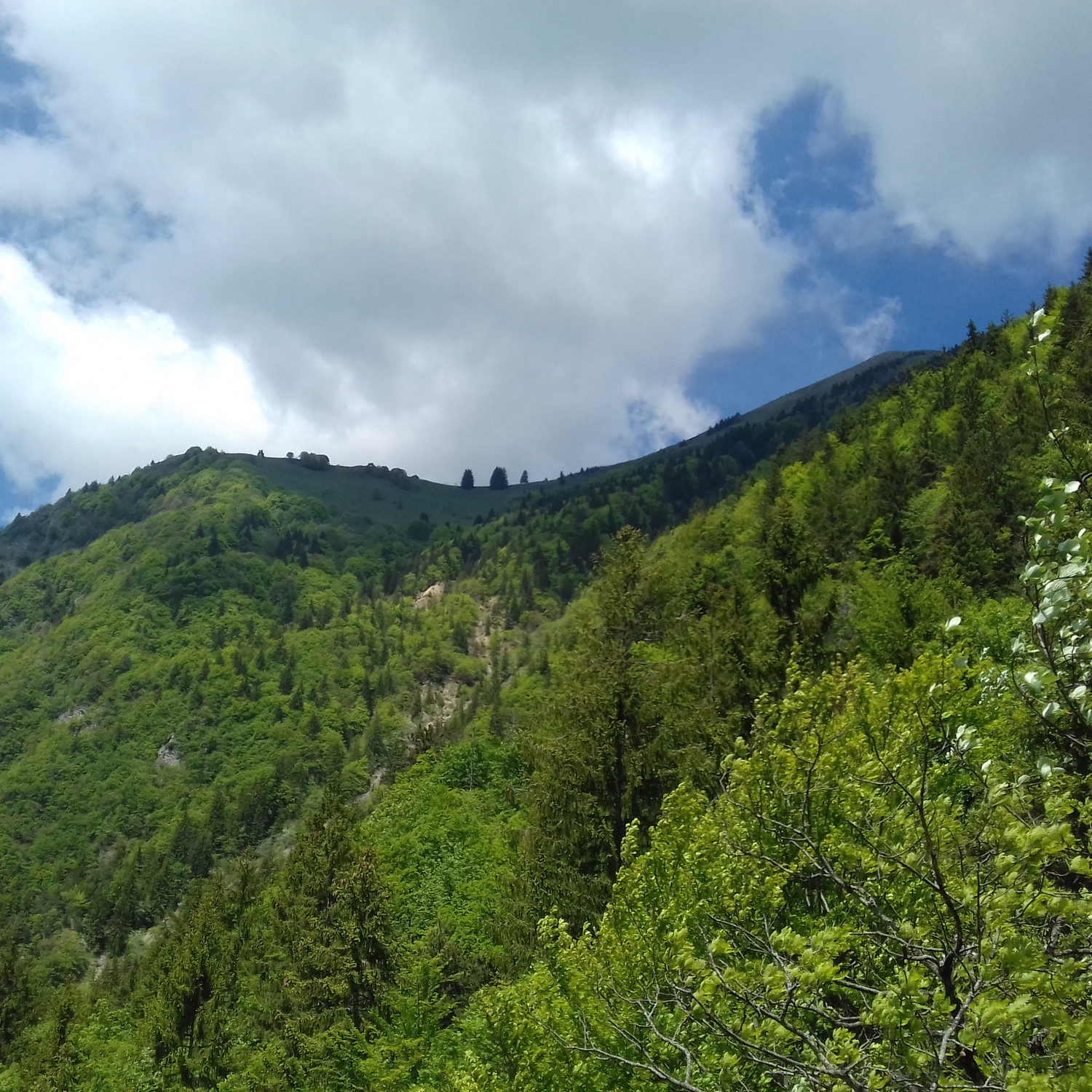 Petit Môle