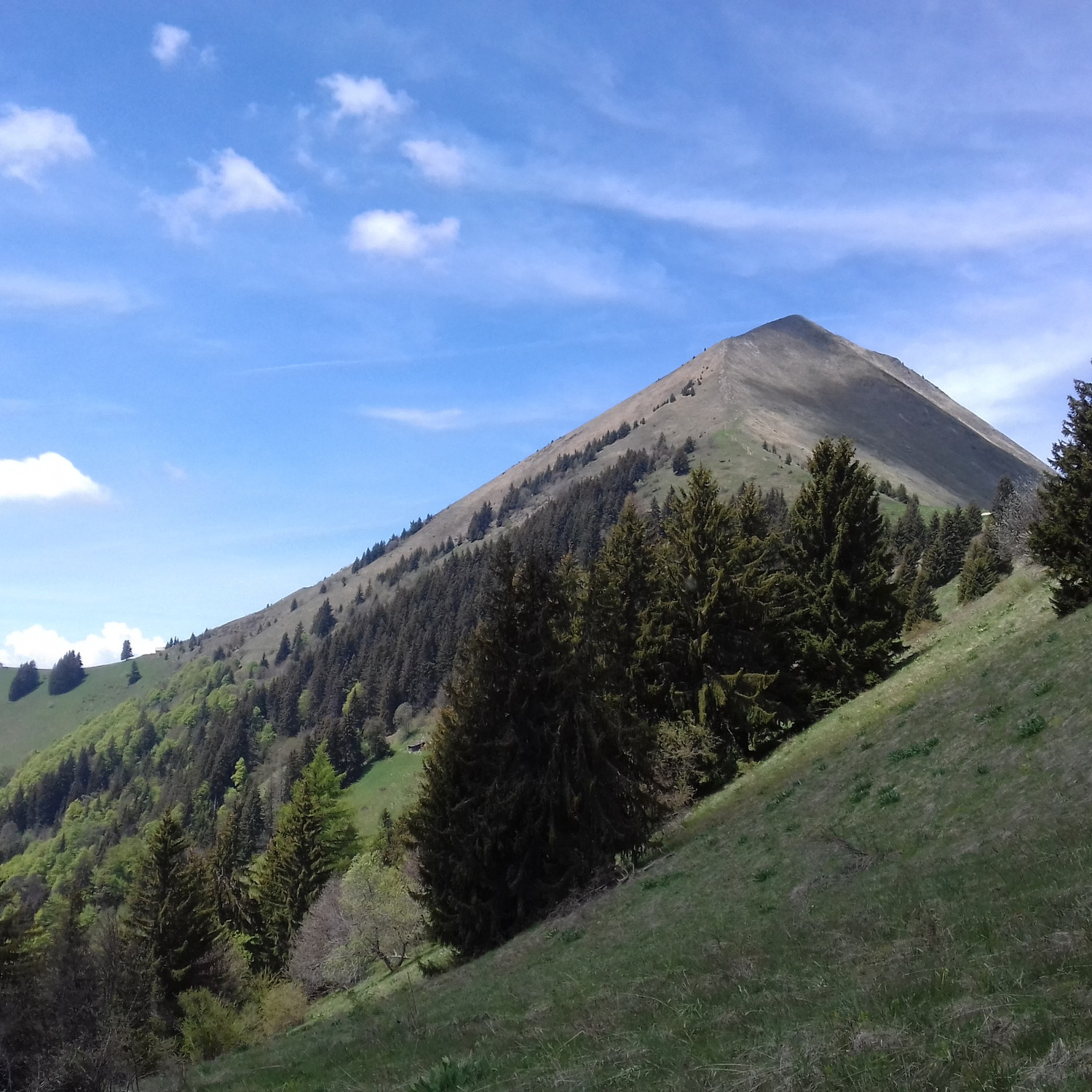 Sortie sous le Rionffer