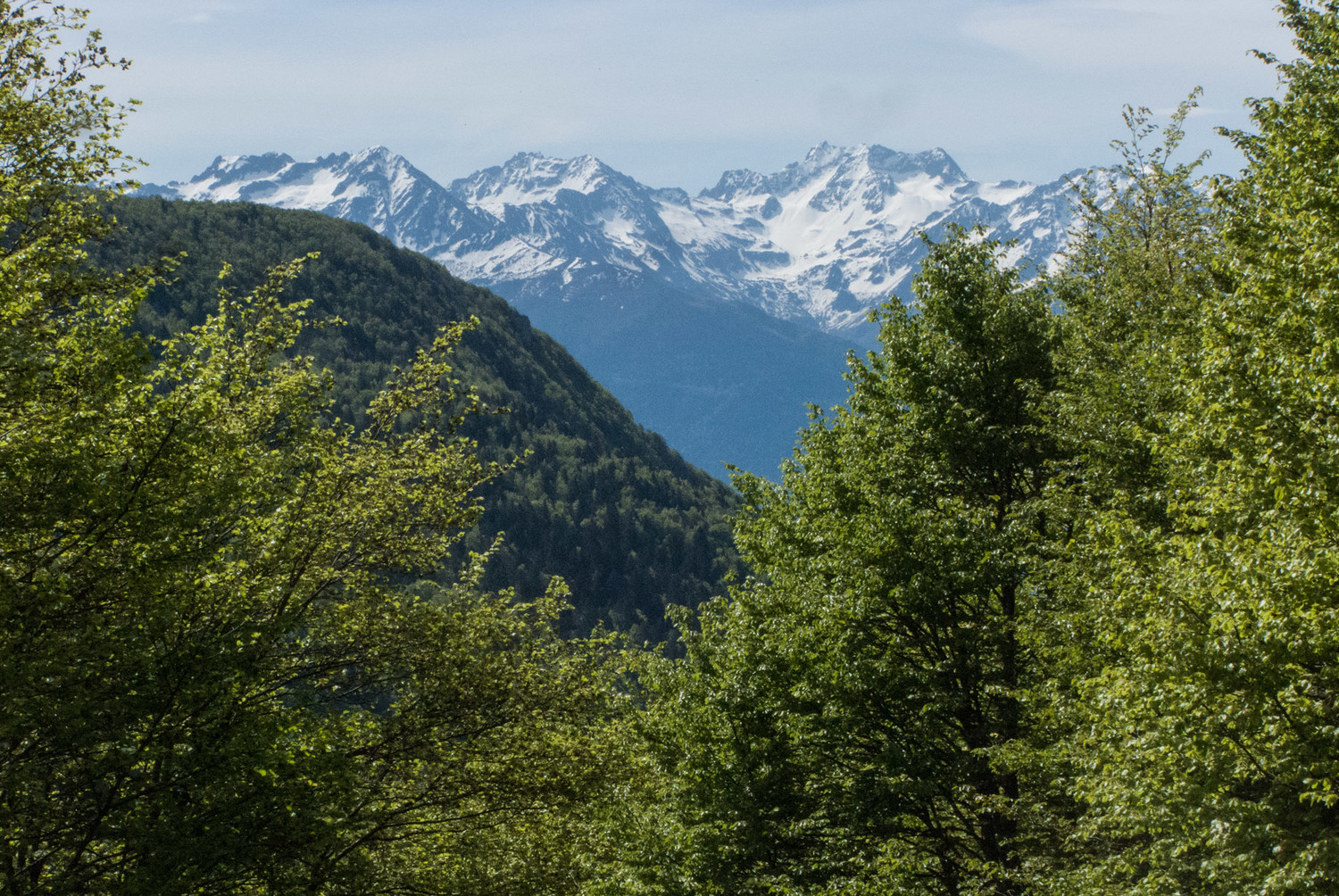 Belledonne N