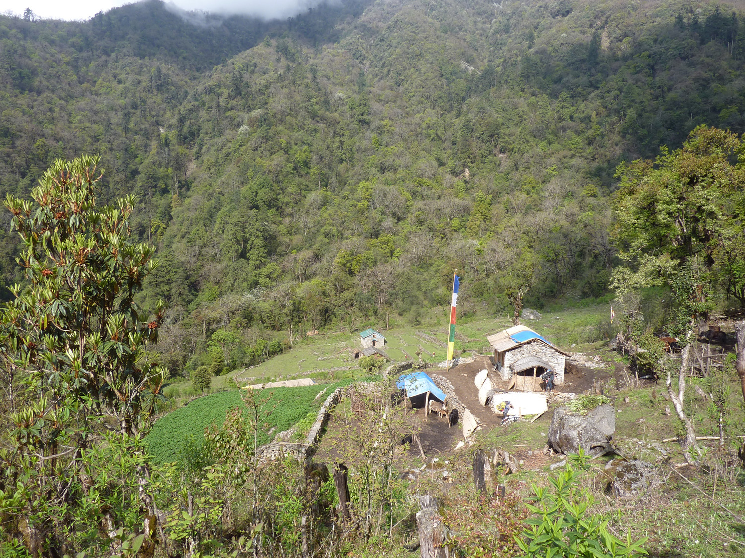 Ningso