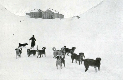 Grand Saint Bernard par Boissonnas